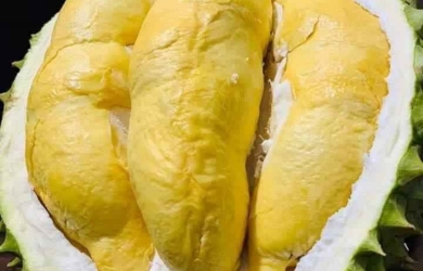 Sầu Riêng Ri 6