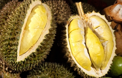 Sầu Riêng Xuất Khẩu
