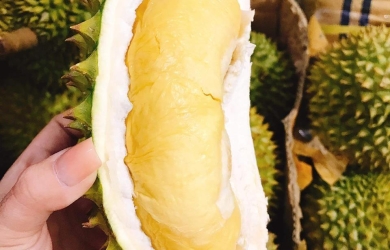 Sầu Riêng Monthong