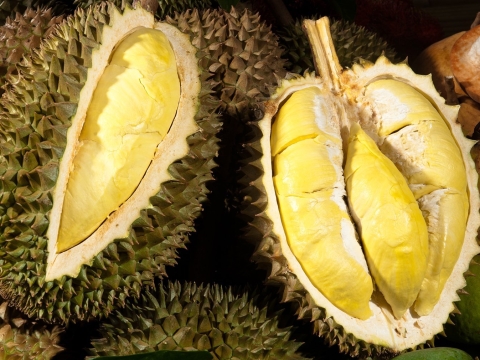 Sầu Riêng Xuất Khẩu