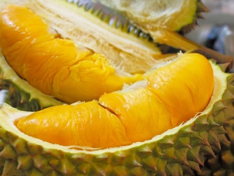 Mít Thái Thiện Tâm 3